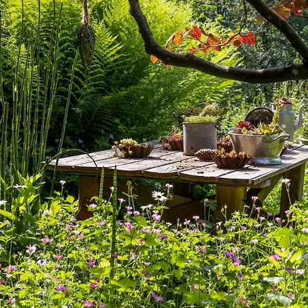 Roulotte Immersive Au Jardin De Niargoutte