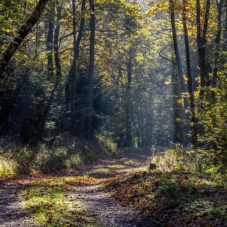 Roulotte Immersive Au Jardin De Niargoutte