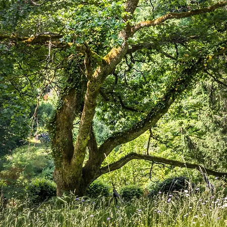 Tente de luxe Roulotte Immersive Au Jardin De Niargoutte