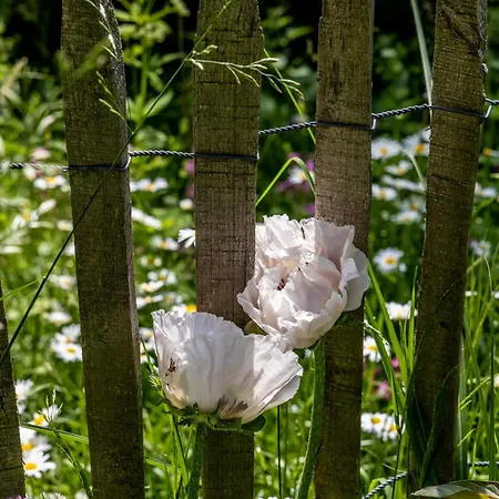 Roulotte Immersive Au Jardin De Niargoutte * Plaine