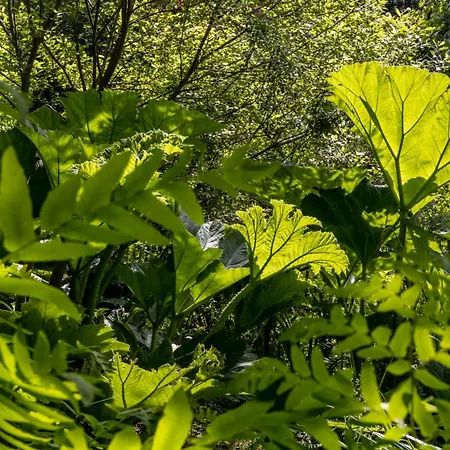 Roulotte Immersive Au Jardin De Niargoutte Plaine