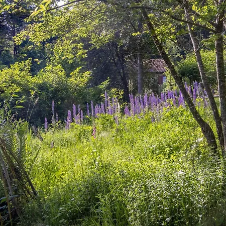 Luxuszelt Roulotte Immersive Au Jardin De Niargoutte Plaine