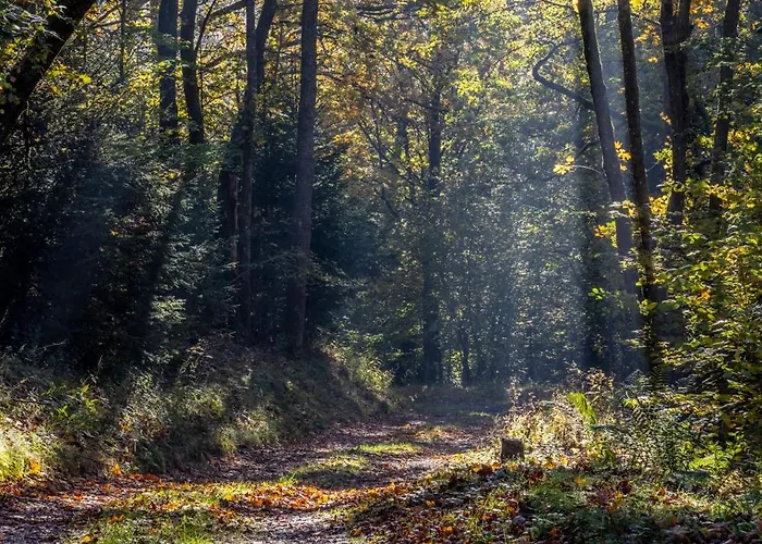 Roulotte Immersive Au Jardin De Niargoutte