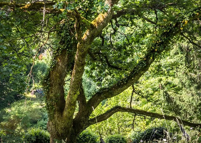 Luxuszelt Roulotte Immersive Au Jardin De Niargoutte