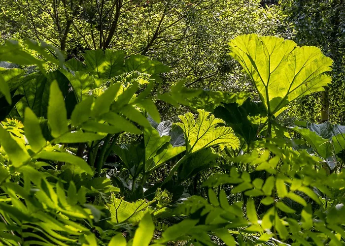 Roulotte Immersive Au Jardin De Niargoutte Plaine