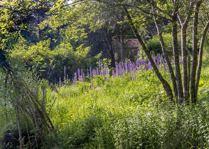 Luxuszelt Roulotte Immersive Au Jardin De Niargoutte Plaine