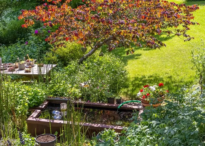 Roulotte Immersive Au Jardin De Niargoutte Tente de luxe Plaine